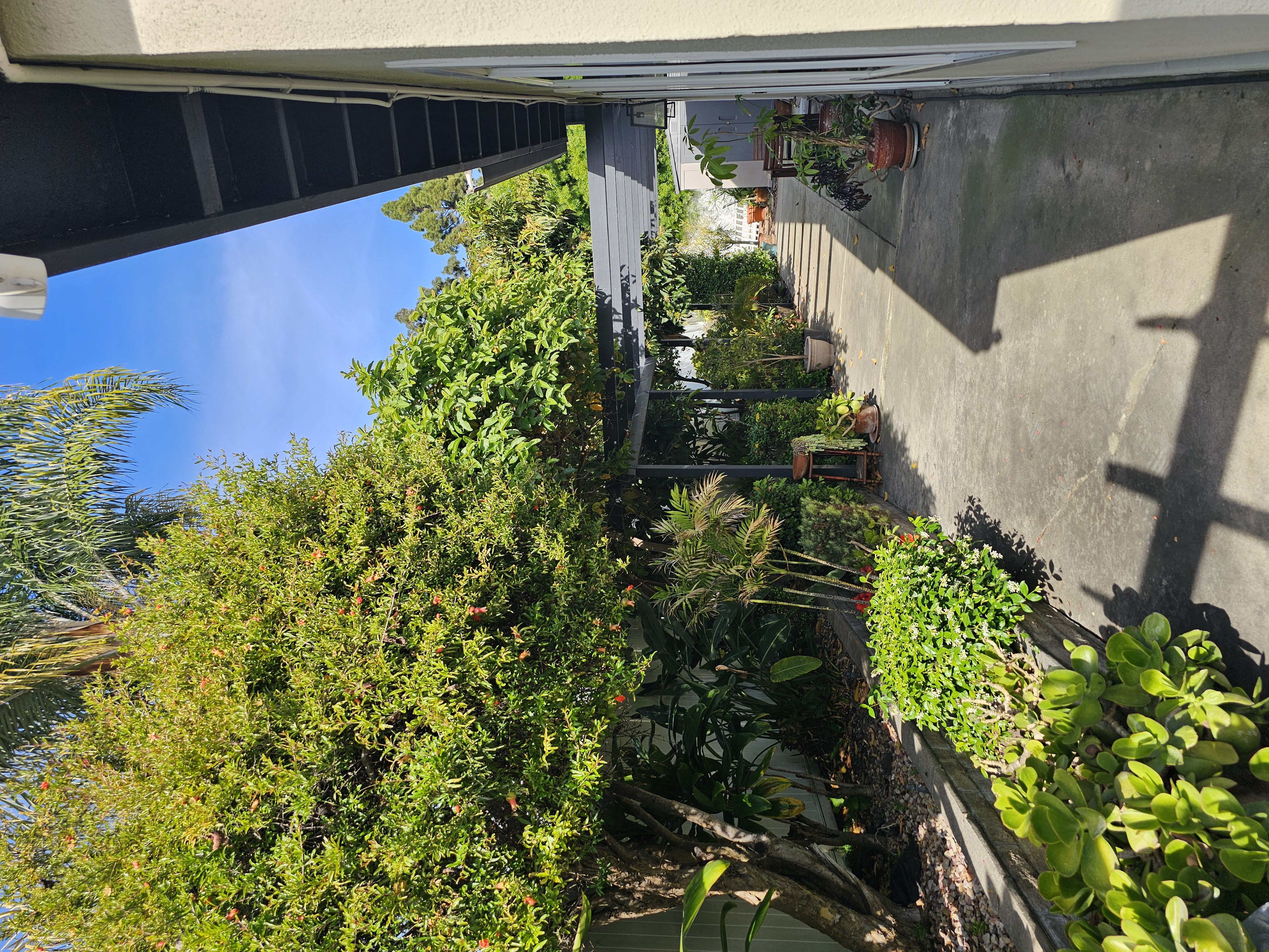 Evergreen Adult Home Care At Tustin - All Photos photo 3